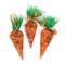 Cellophane Carrot-Shaped Goody Bags ( 1 dozen)